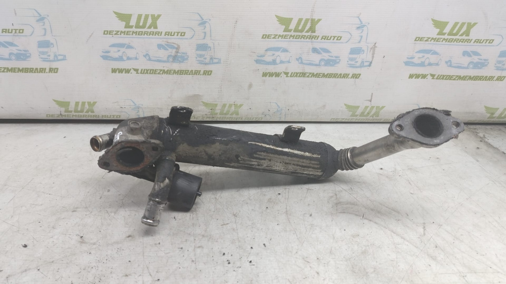 Racitor gaze egr 2.0 TDI BMM Volkswagen 