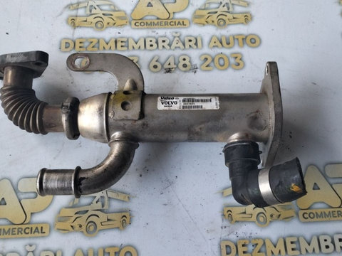 Racitor Gaze EGR Citroen C4 2.0 HDI cod : 993062H