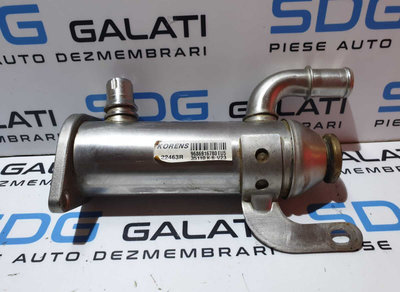 Racitor Gaze EGR Peugeot 407 2.0 HDI 2004 - 2010 C