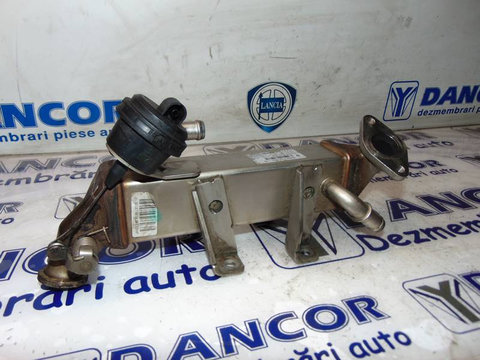 RACITOR GAZE EGR RENAULT LAGUNA-III 2.0DCI 2010 8200 719 993 A