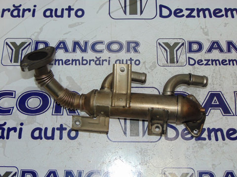 RACITOR GAZE EGR SKODA FABIA 1- COD 038 131 513 K