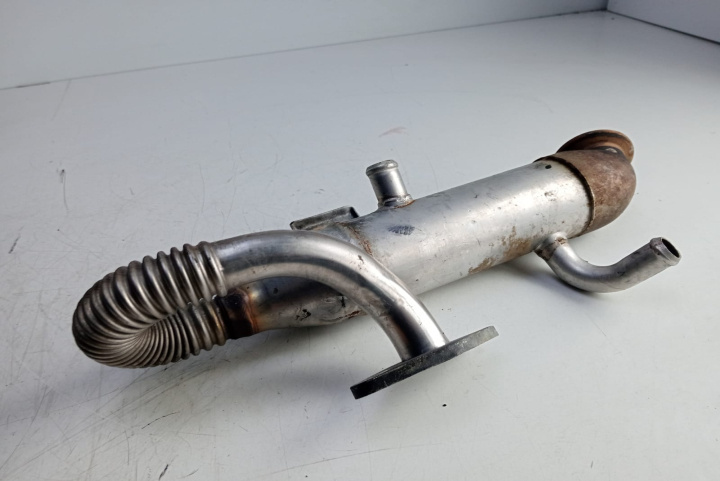 Racitor gaze Ford Focus [1998 - 2004]