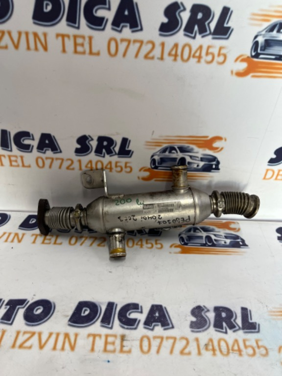 Racitor gaze Peugeot 307 2.0 HDI 2002 869922R 9639