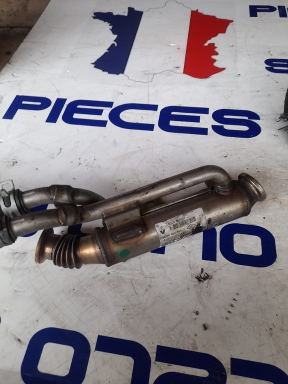 Racitor Gaze Renault Koleos 2.0 h8200620695
