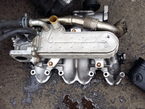 Racitor gaze VW Golf 4 motor AXR