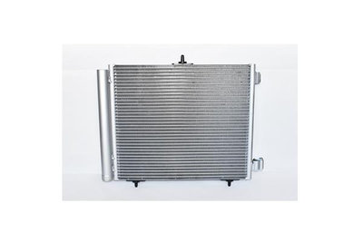 Radiator Aer Conditionat (Condensator) Asam 75396 