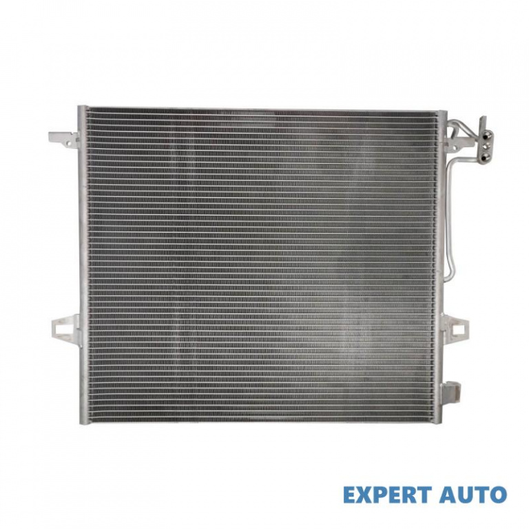 Radiator aer conditionat Mercedes R-CLASS (W251, V251) 2006-2016 #2 08062020