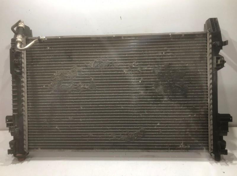 Radiator apa a1695000403 Mercedes-Benz A-Class W169 [2004 - 2008]