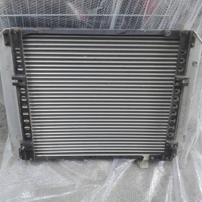 Radiator Apa LAZ AeroLAZ (AX183D) 2006 - Prezent M