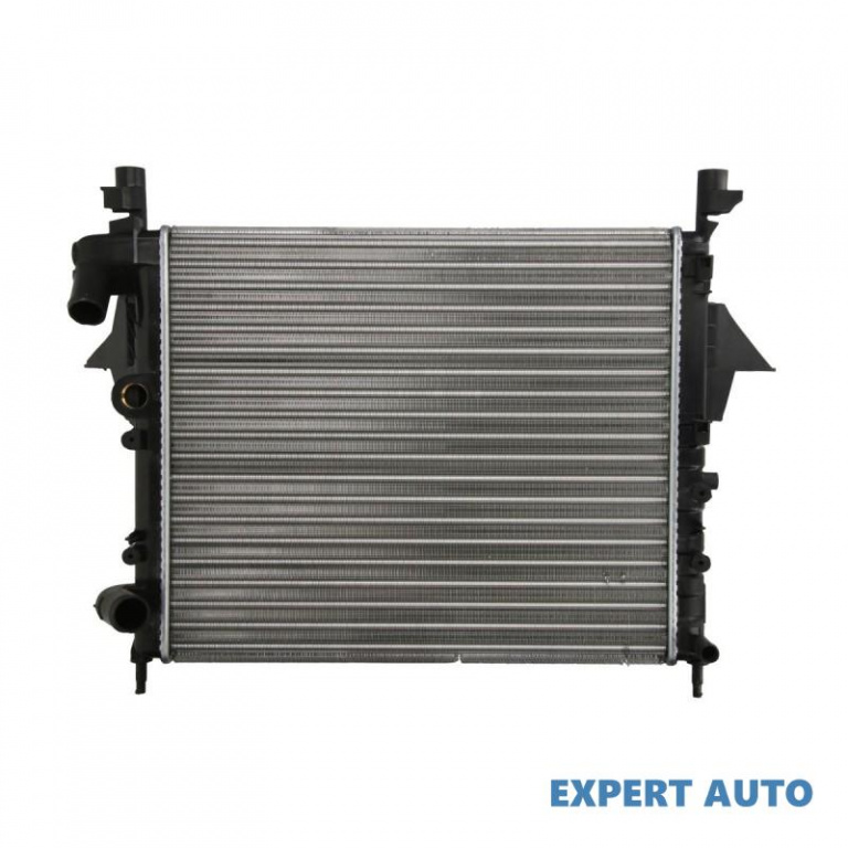 Radiator apa Renault TWINGO I (C06_) 1993-2016 #4 01093071