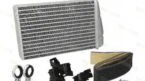 Radiator habitaclu bord RENAULT Scenic II JM0 1 THERMOTEC D6R011TT