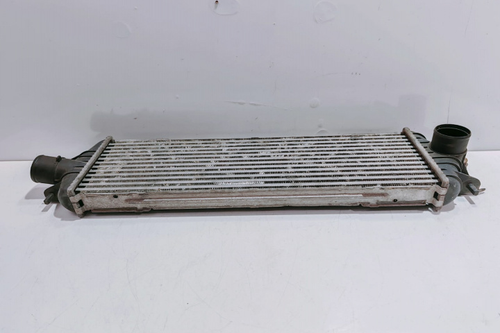 Radiator Intercooler 8200219497A Renault Trafic 2 [2001 - 2006]
