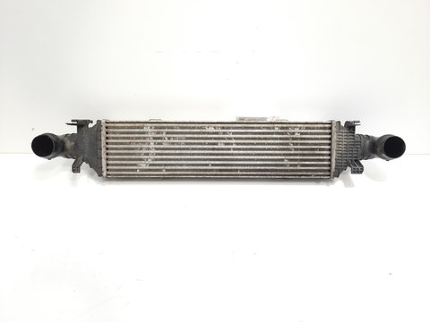 Radiator intercooler, Mercedes, 2.2 CDI, OM646811 (idi:351938)