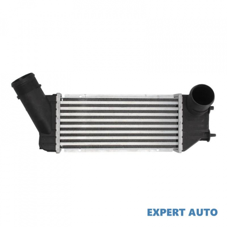 Radiator intercooler Peugeot 307 CC (3B) 2003-2016 #4 0384F6