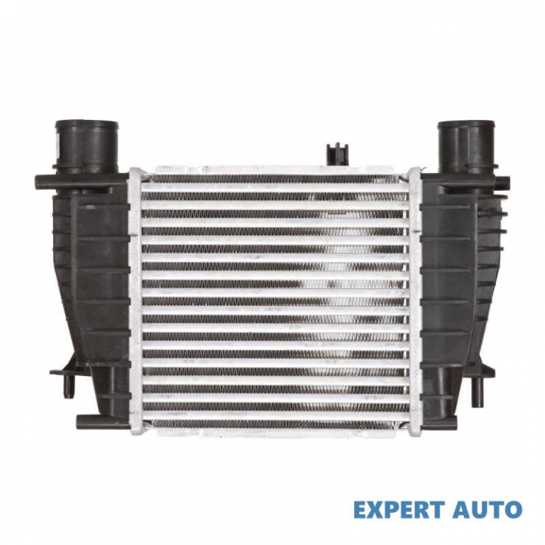 Radiator intercooler Renault CLIO III (BR0/1, CR0/