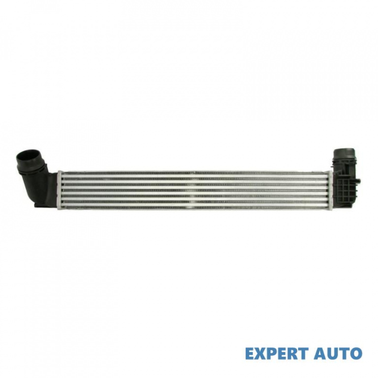 Radiator intercooler Renault GRAND SCENIC III (JZ0/1_) 2009-2016 #4 144960006R