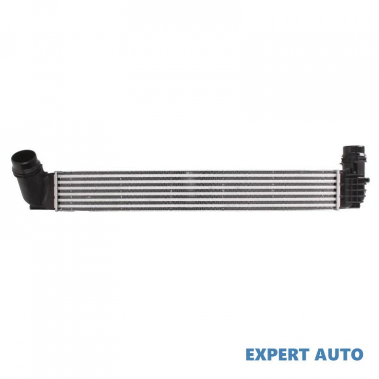 Radiator intercooler Renault GRAND SCENIC III (JZ0/1_) 2009-2016 #2 144960006R