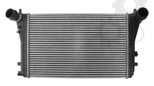 Radiator intercooler Seat Alhambra, VW P