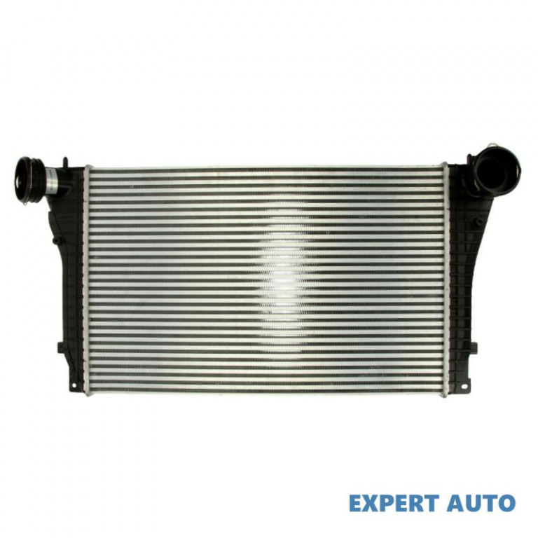 Radiator intercooler Seat SEAT LEON (1M1) 1999-2006 #2 07103052