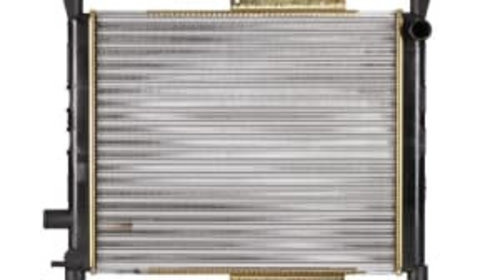 Radiator motor MG MG ZR, MG ZS, ROVER 200 II, 25 I, 400 II, 45 I, STREETWISE 1.1-1.8