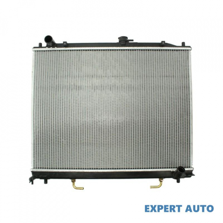Radiator, racire motor Mitsubishi PAJERO/SHOGUN (V90, V80) 2006-2016 #4 119076