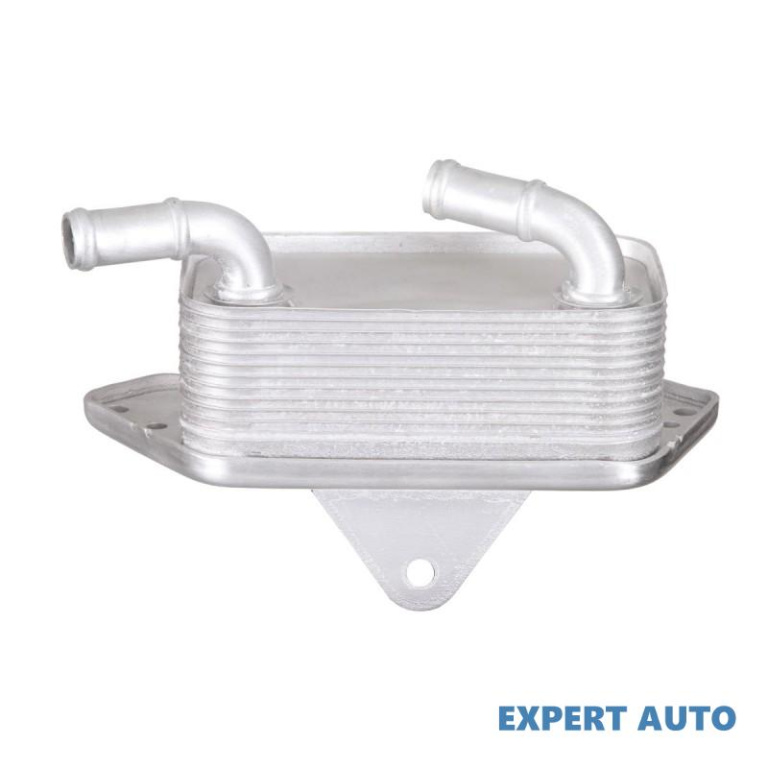 Radiator racire ulei Audi AUDI A4 Cabriolet (8H7, B6, 8HE, B7) 2002-2009 #2 046019N