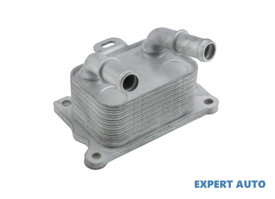 Radiator racire ulei Dacia DUSTER (2019->) #1 213055917R