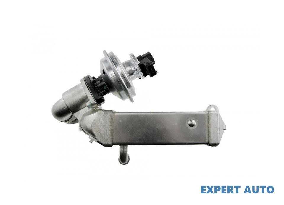 Radiator recirculare gaze BMW Seria 1 (2