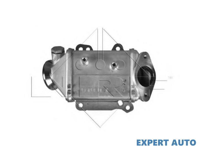 Radiator, recirculare gaze de esapament Fiat 500 (