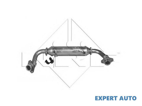Radiator, recirculare gaze de esapament Fiat BRAVA (182) 1995-2003 #3 46810017