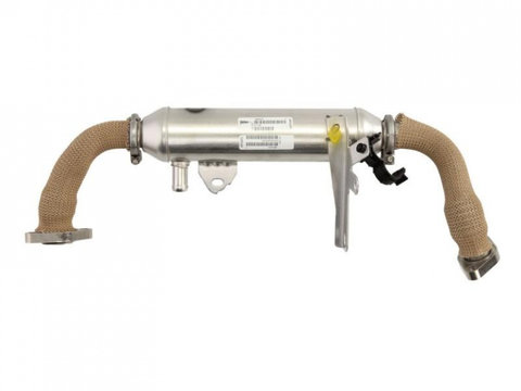 Radiator, recirculare gaze de esapament Fiat BRAVA (182) 1995-2003 #2 46810017