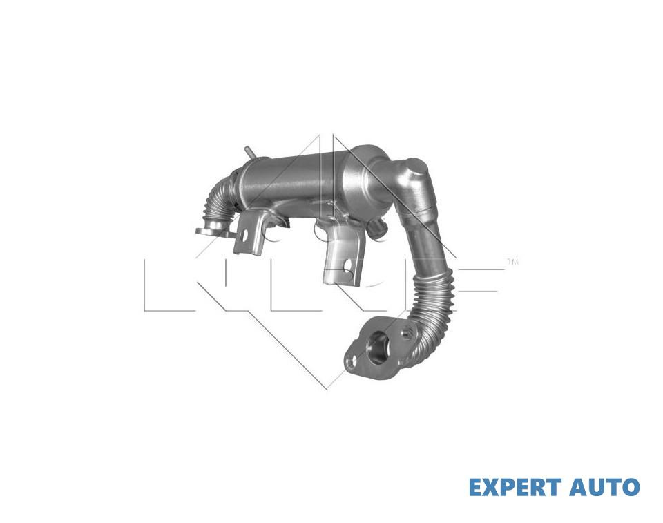 Radiator recirculare gaze Ford S-Max (20