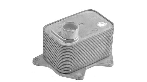 Radiator ulei motor, Termoflot Vw Jetta 