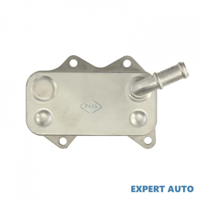 Radiator ulei, ulei motor Audi AUDI A4 Cabriolet (8H7, B6, 8HE, B7) 2002-2009 #2 046015N
