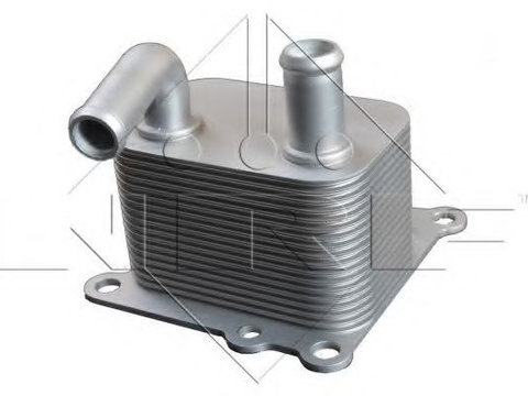 Radiator ulei, ulei motor FORD TRANSIT CONNECT (P65_, P70_, P80_) (2002 - 2016) NRF 31219