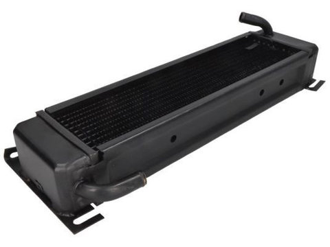 Radiator ulei, ulei motor THERMOTEC D4AG004TT