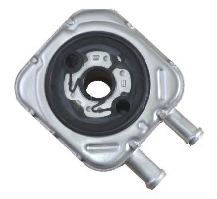 Radiator ulei VOLKSWAGEN PASSAT Variant (3C5) - Cod intern: W20151973 - LIVRARE DIN STOC in 24 ore!!!