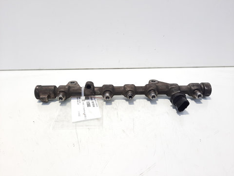 Rampa injectoare cu senzor, cod 8200750048, Renault Megane 3 Combi, 1.9 DCI, F9Q870 (id:613560)