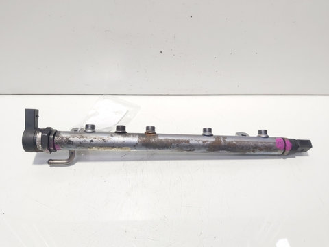 Rampa injectoare cu senzori, cod A6400701295, Mercedes Clasa B (W245) 2.0 CDI, OM64094030 (id:637396)