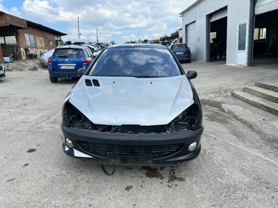 Rezistenta aeroterma Peugeot 206 2002 hatchback 1,