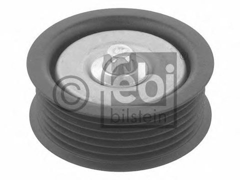 Rola ghidare/conducere, curea transmisie FORD FOCUS C-MAX, FORD FOCUS II limuzina (DA_) - FEBI BILSTEIN 31142