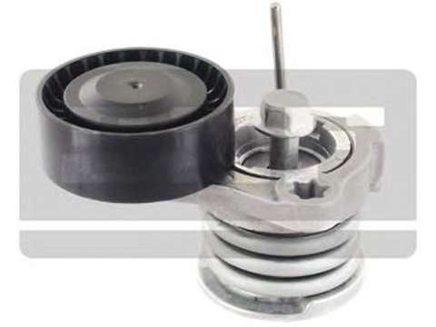 Rola Intinzator curea CHEVROLET EPICA KL1 SKF VKM60003