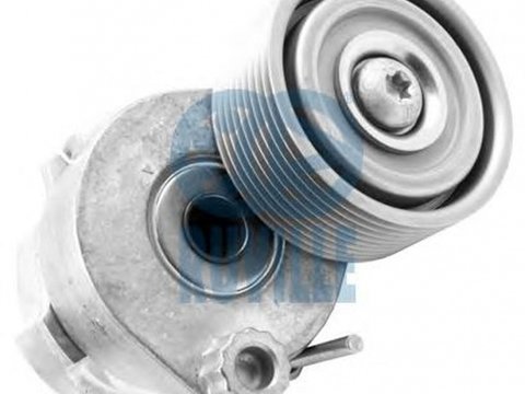 Rola Intinzator curea MERCEDES-BENZ ATEGO RUVILLE 58809