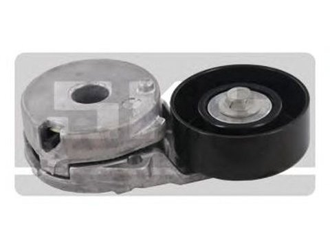 Rola Intinzator curea RENAULT MEGANE III Grandtour KZ0 1 SKF VKM62025