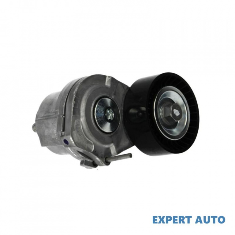 Rola intinzator,curea transmisie Chevrolet CRUZE Station Wagon (J308) 2012-2016 #2 1340266