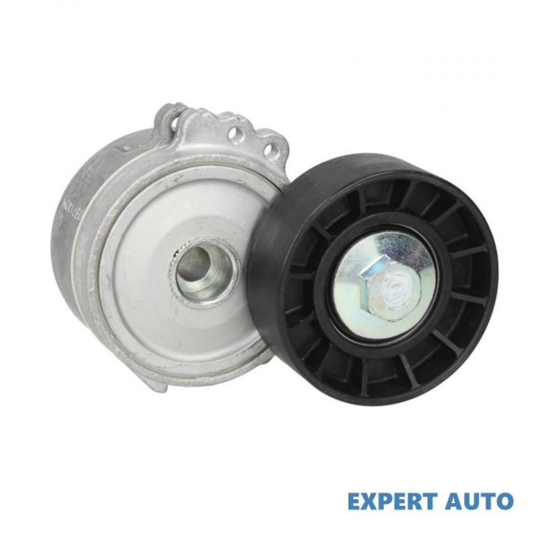 Rola intinzator,curea transmisie Citroen DISPATCH 