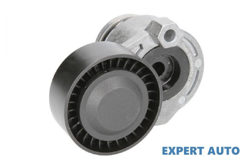 Rola intinzator,curea transmisie Dacia SANDERO 2008-2016 #3 1175000Q0B