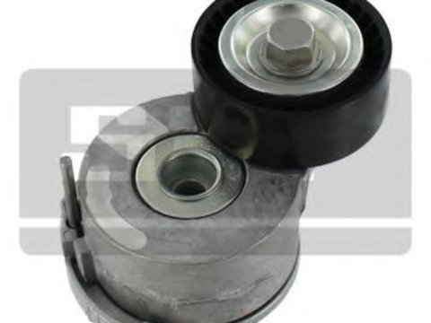 Rola intinzator curea transmisie FIAT SCUDO platou / sasiu (272, 270) (2007 - 2016) SKF VKM 33205