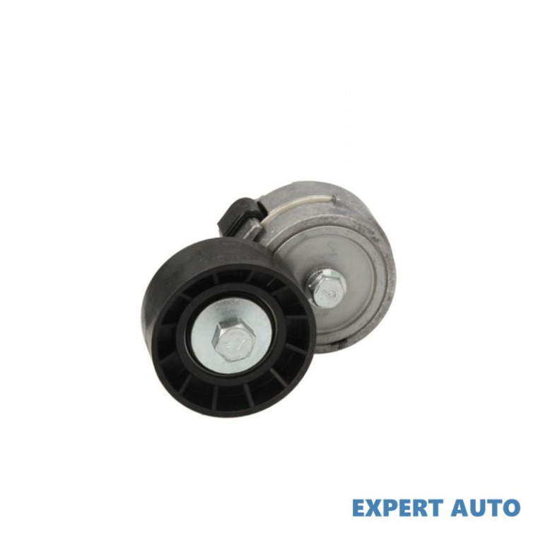 Rola intinzator,curea transmisie Fiat STILO (192) 