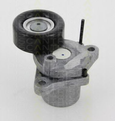 Rola intinzator curea transmisie HYUNDAI MATRIX (FC) (2001 - 2010) TRISCAN 8641 433003